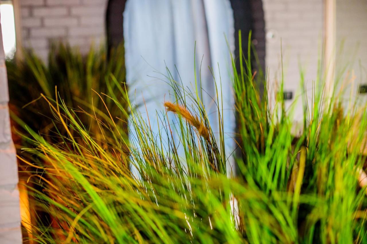 Gastenverblijf Zomerdijk Meppel Exteriör bild